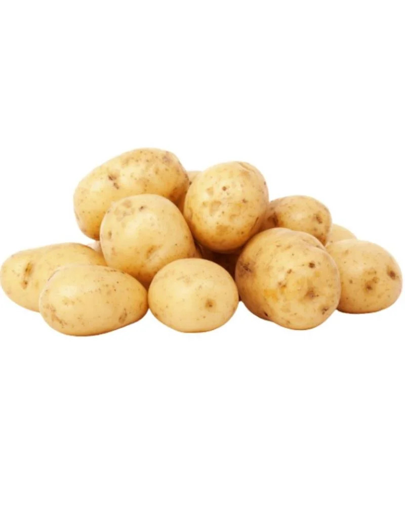 Fresh Potato - Moisture (%): 80 %