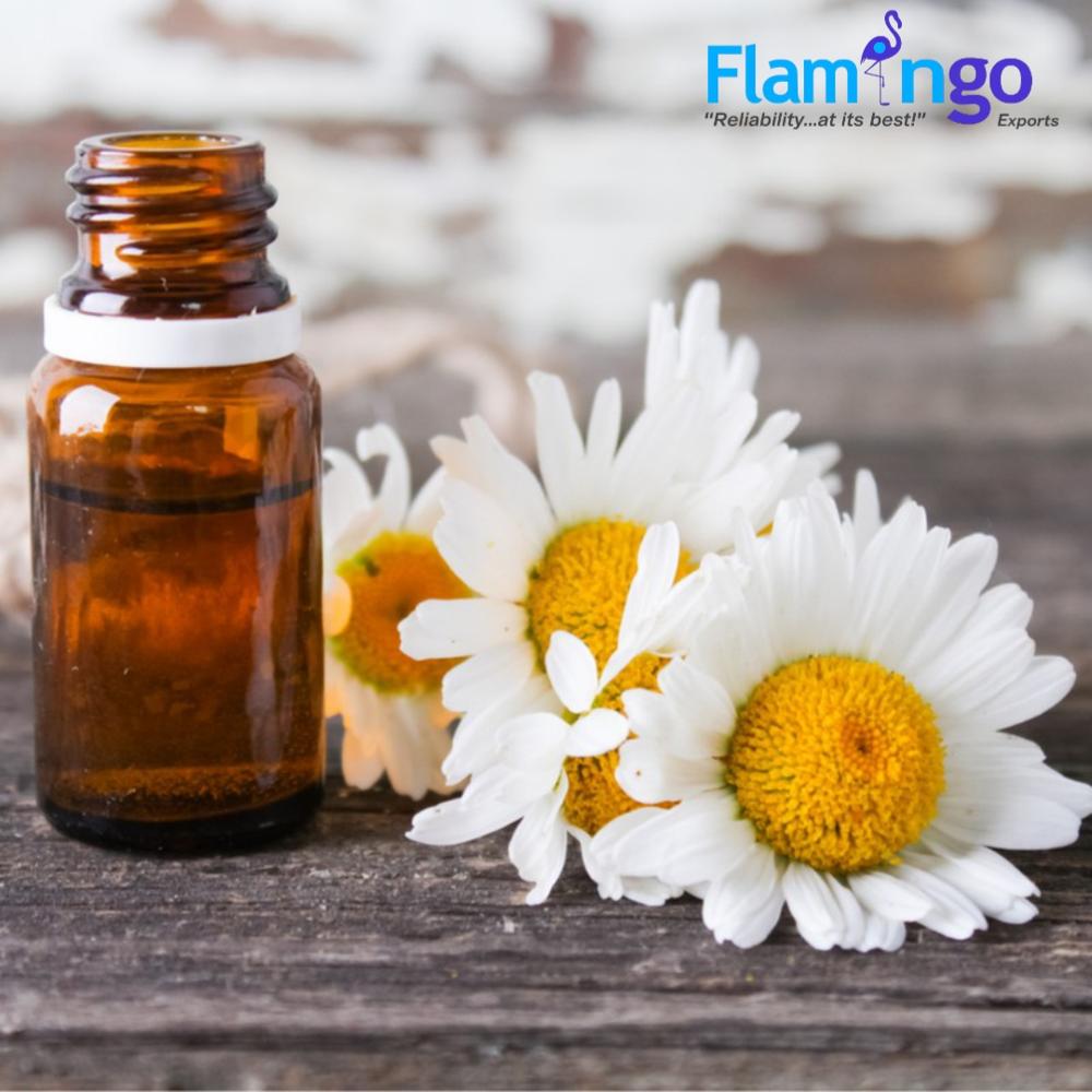 Chamomile Oil