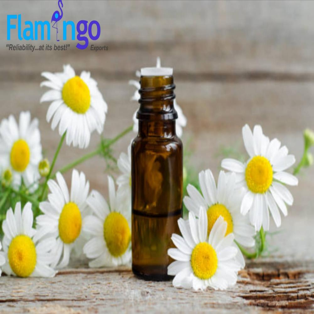 Chamomile Oil