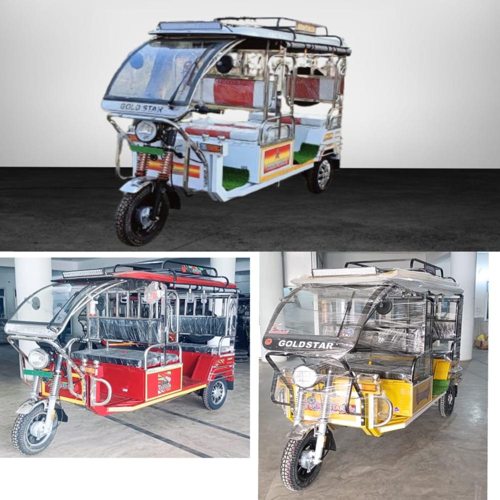 Gold Star E Rickshaw - Charger Type: Smart Automatic Charger