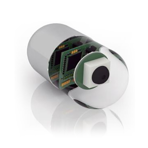 Capsule Endoscope