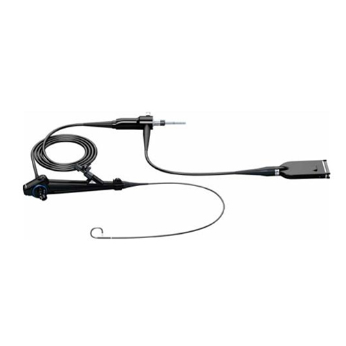 Medical Ureteroscopy