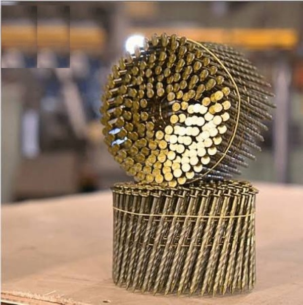 Coil Nail - Color: Zinc / Steel