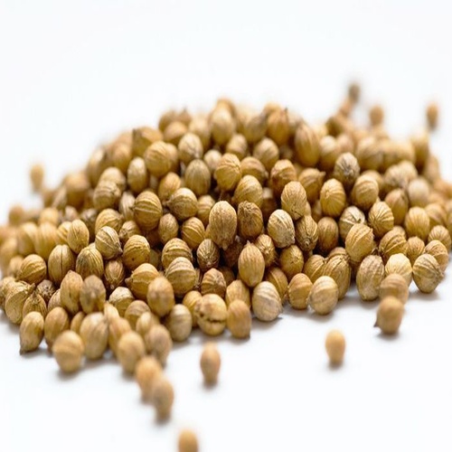 Coriander Seeds - Color: Light Golden Brown