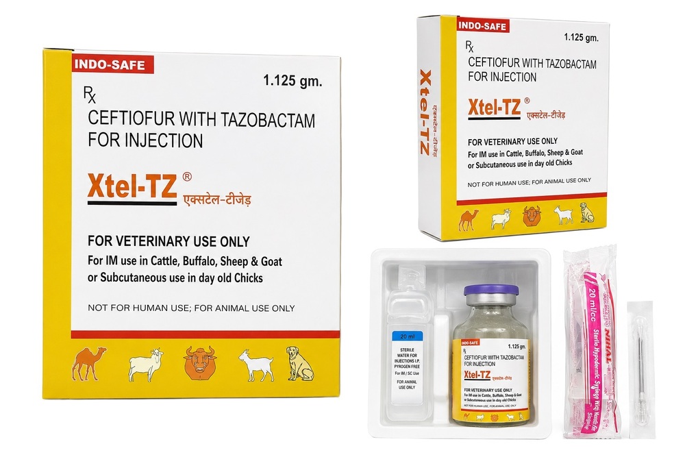 1.125gm Ceftiofur With Tazobactam For Injection