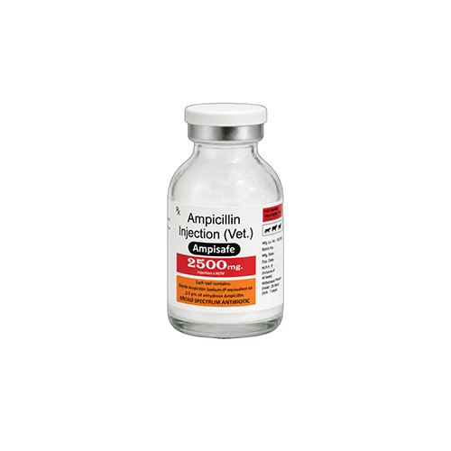 2500mg Ampicillin Injection Vet