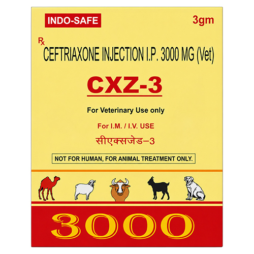 3000mg Ceftriaxone Injection IP
