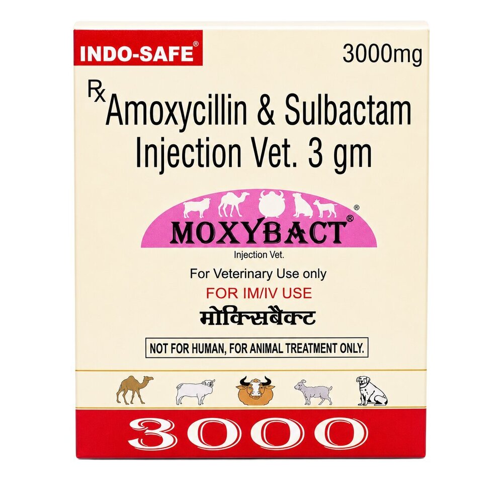 3000mg Amoxycillin And Sulbactam Injection Vet