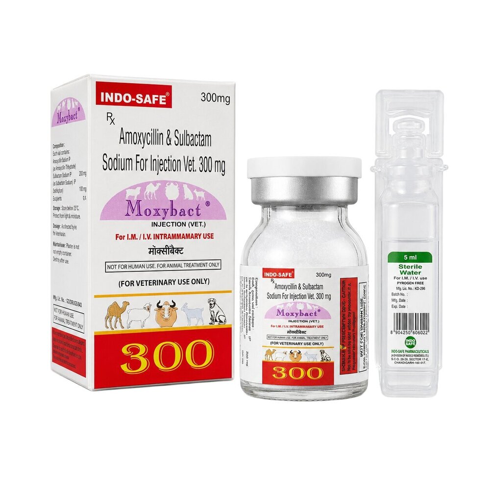 300mg Amoxycillin And Sulbactam Sodium For Injection Vet