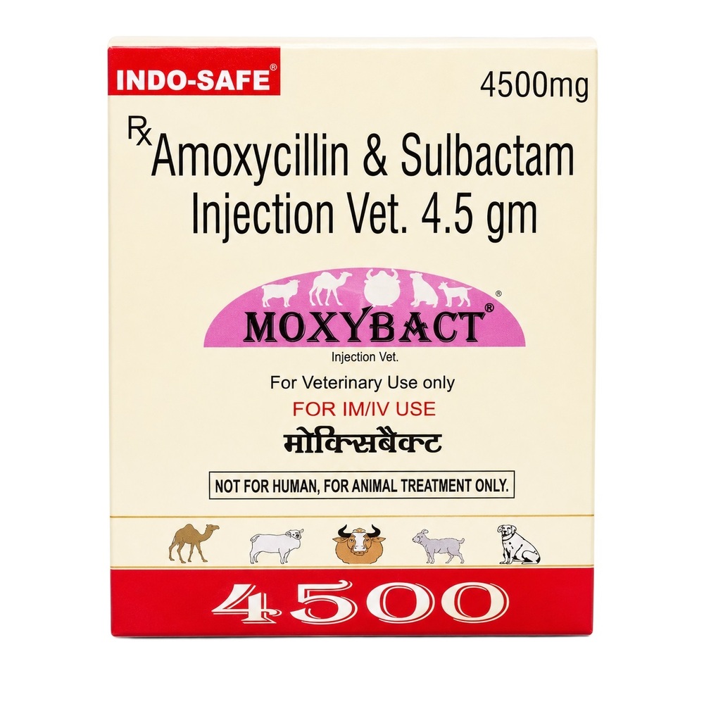 4500mg Amoxycillin And Sulbactam Injection Vet