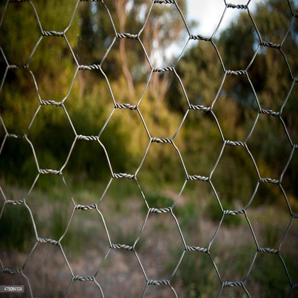 Hexagonal Wire Netting