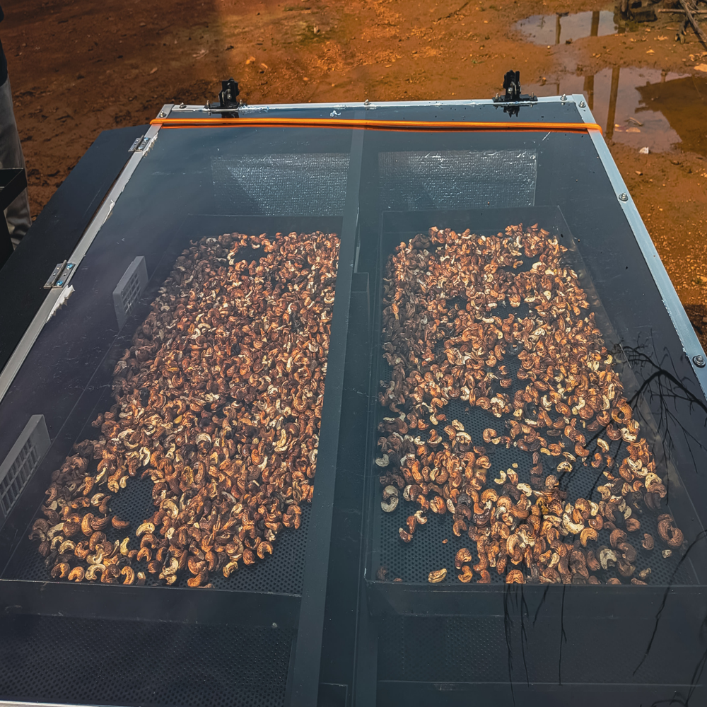 Solar Herb Dryer