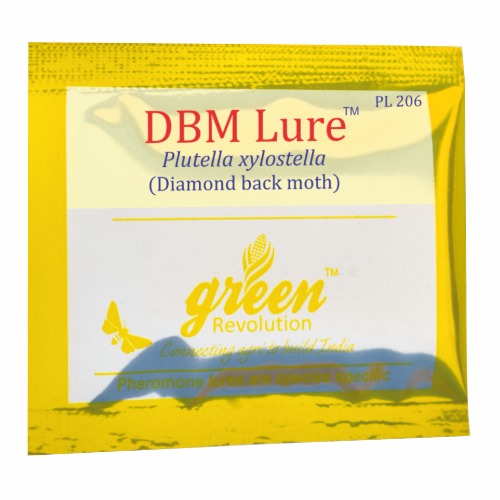 DBM Lure