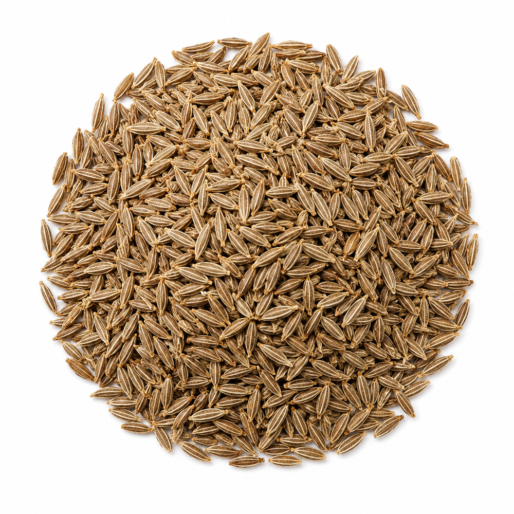 Cumin Seeds - Color: Uniform Light Brown To Greenish-Brown With Natural Shine