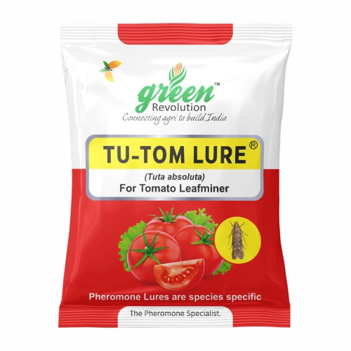 Tu Tom Lure