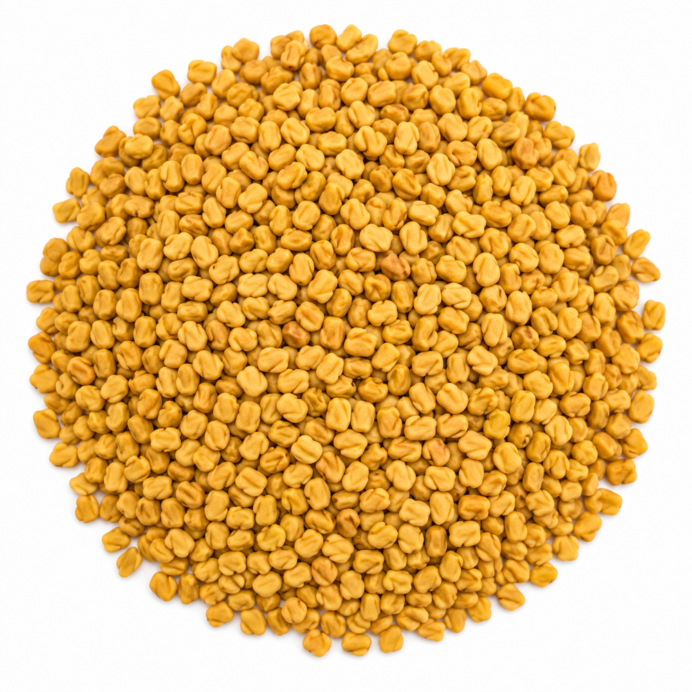 Fenugreek Seeds (Methi) - Color: Uniform Golden Yellow To Light Brown