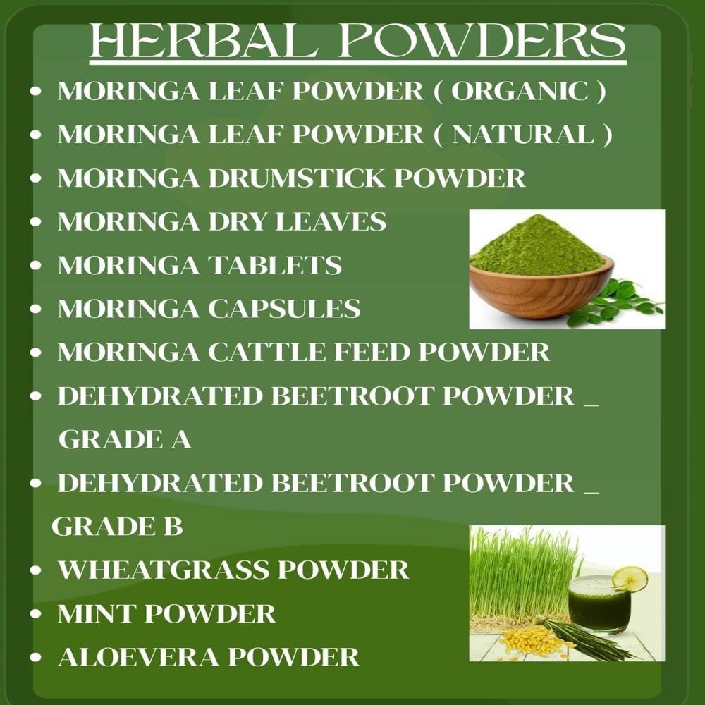 Moringa Powder Supplier