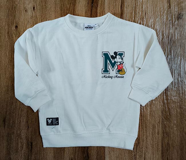 B16695 | DiSNEY Boys Crew Neck Pullover