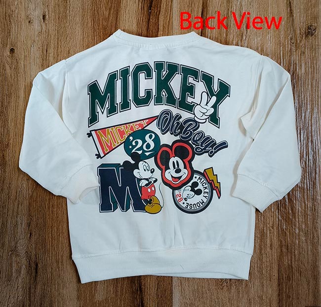 B16695 | DiSNEY Boys Crew Neck Pullover