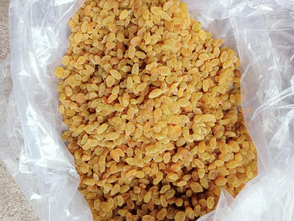 Golden Raisins