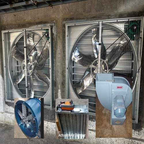 Axial flow fan and blower