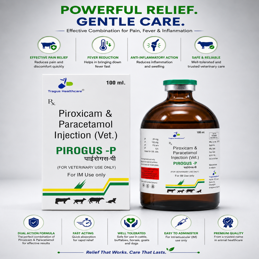 Piroxicam 20 Mg + Paracetamol 150 Mg - Medicine Type: Veterinary Injectables