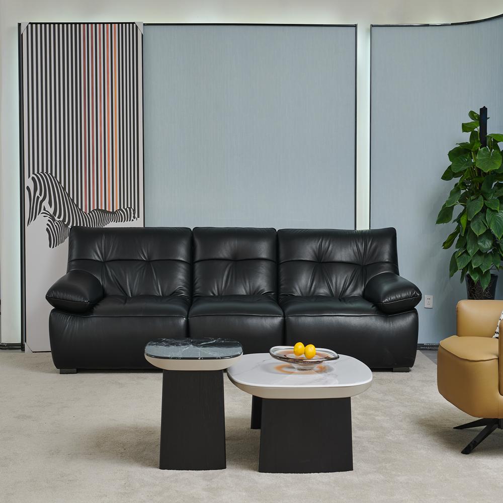 Modern Black Leather Sofa