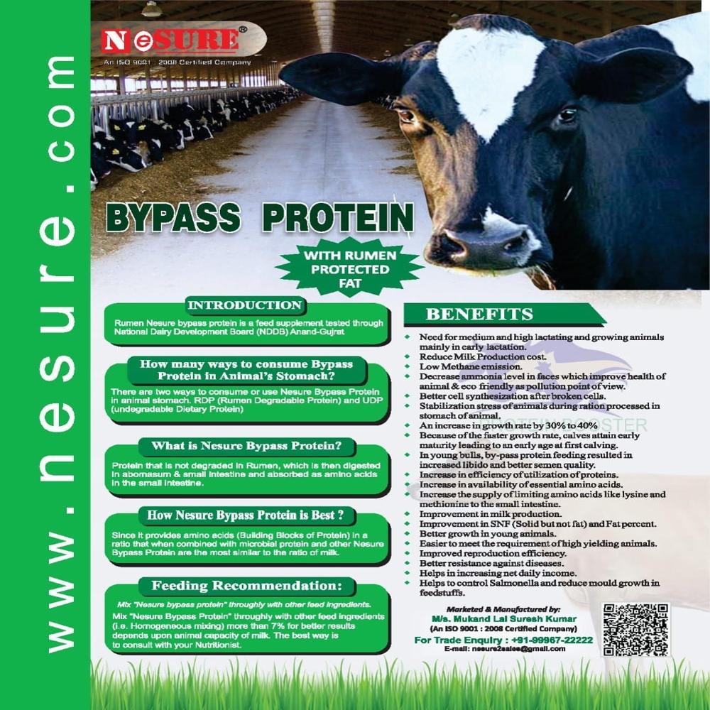 Bypass Protein With Fat for Animals