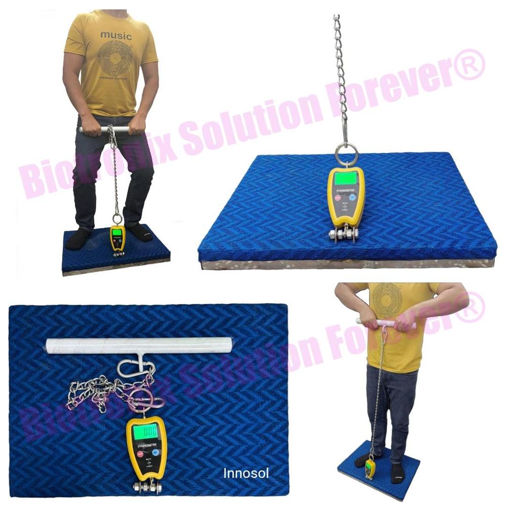 Electronic Back Leg Chest Dynamometer for Orthopedic and Sports Medicine