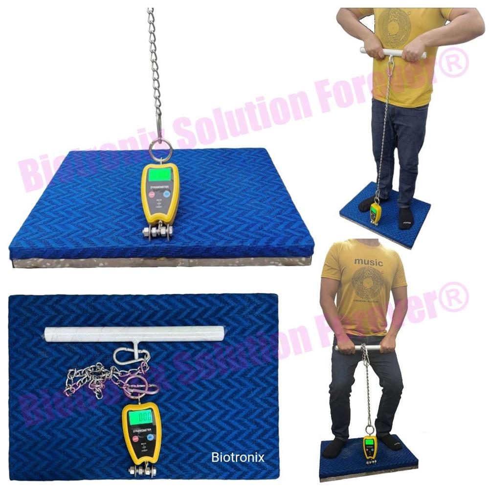 Electronic Back Leg Chest Dynamometer for Orthopedic and Sports Medicine
