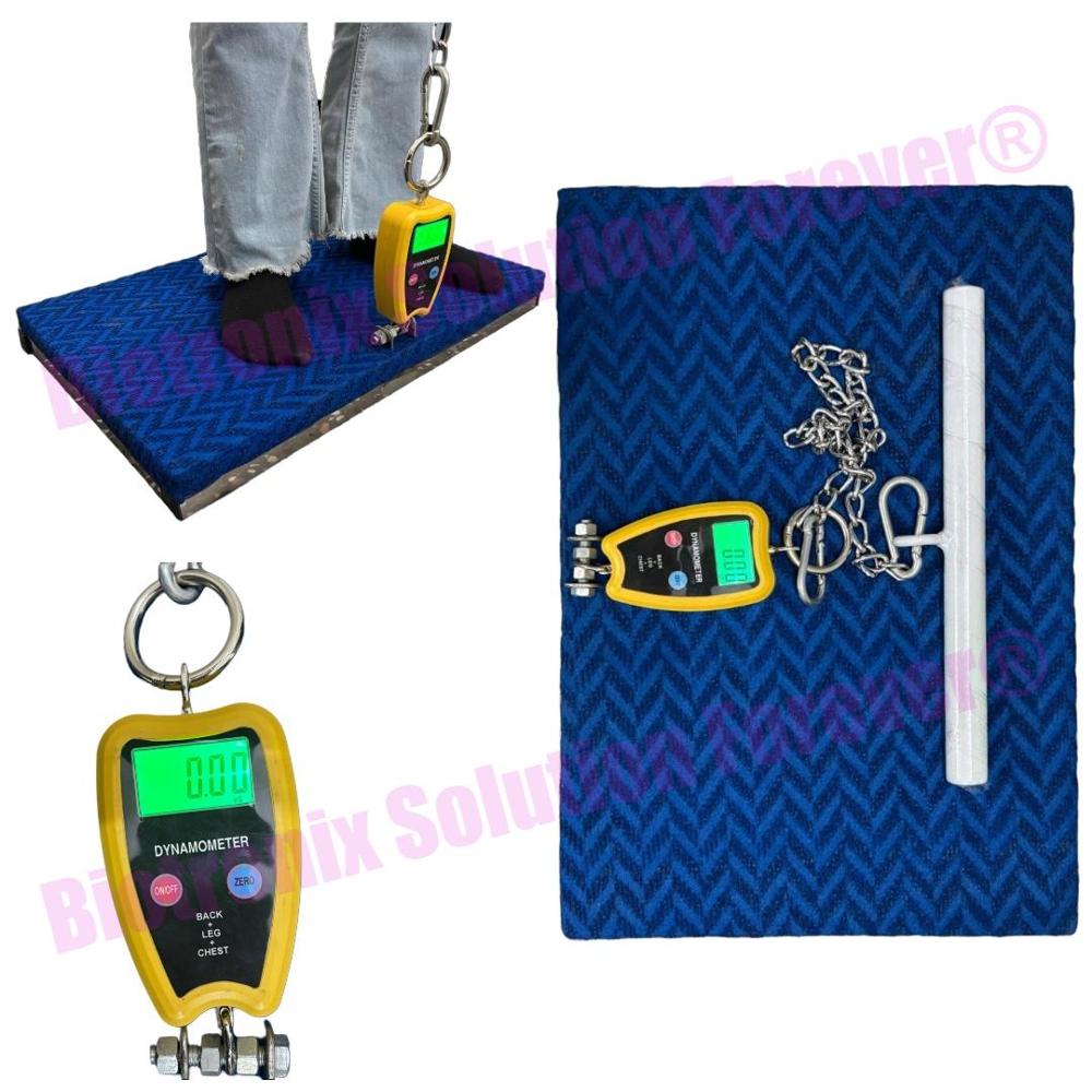Electronic Back Leg Chest Dynamometer for Orthopedic and Sports Medicine