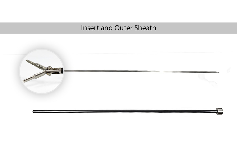 Dolphin Grasping Forceps 5mm, 26cm with Rachet Handle