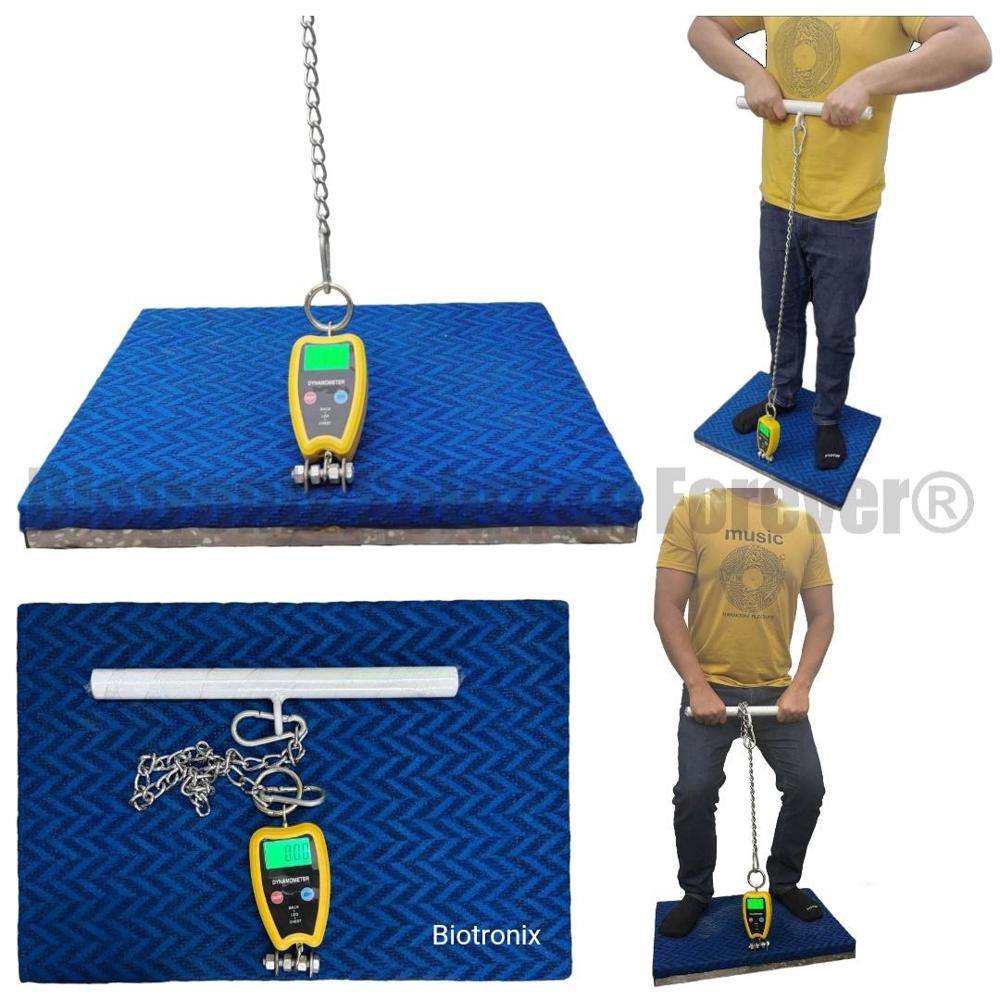 Digital Back Leg Chest Strength Tester for Clinical Muscle Assessment