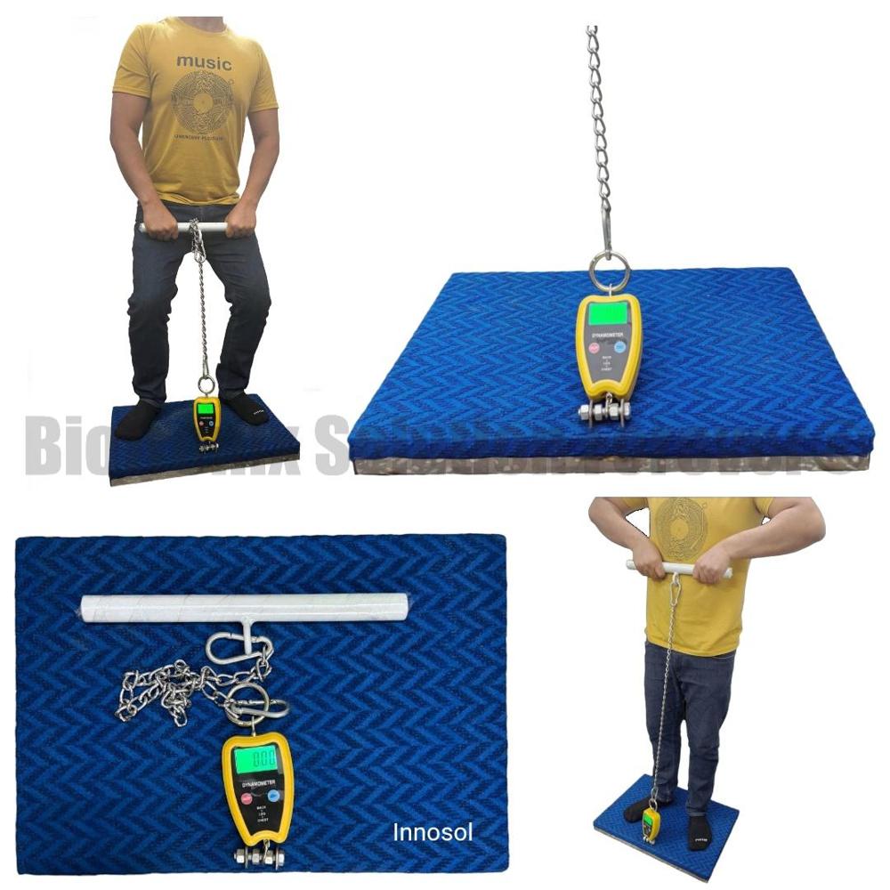 Digital Back Leg Chest Strength Tester for Clinical Muscle Assessment