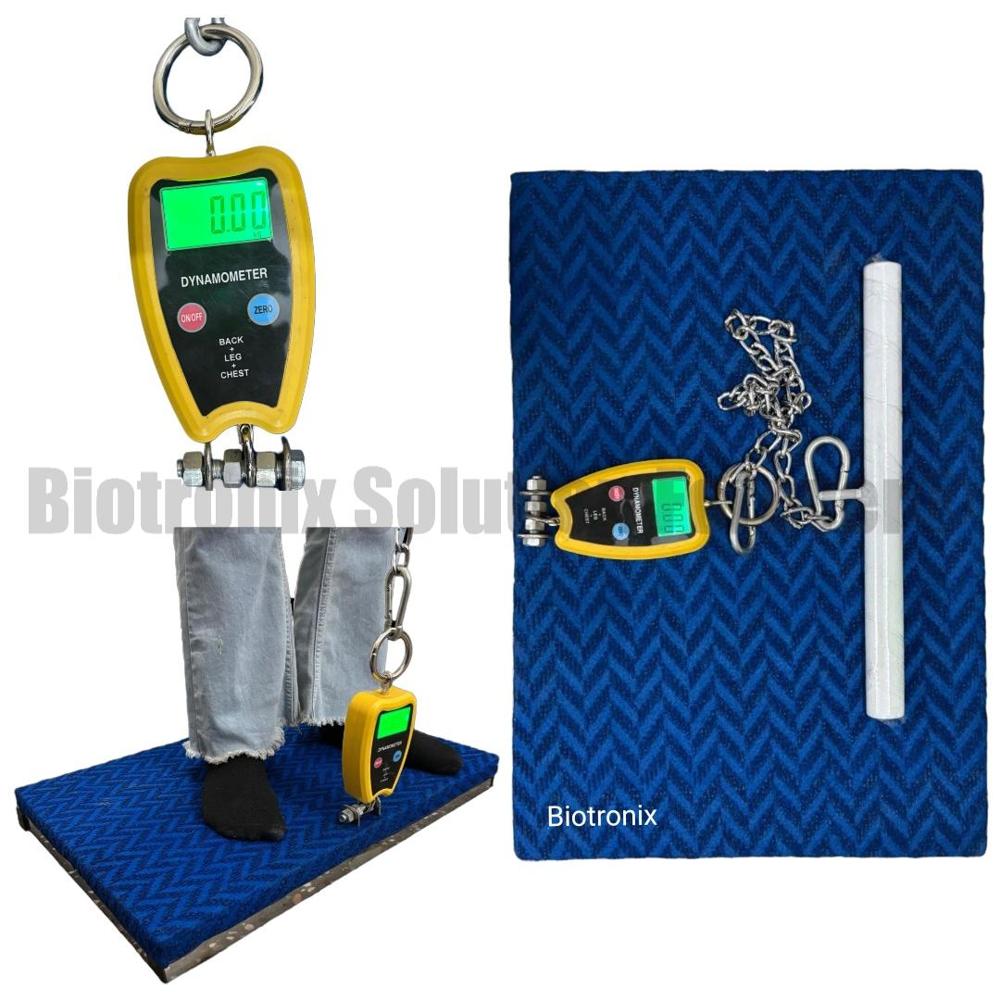 Digital Back Leg Chest Strength Tester for Clinical Muscle Assessment