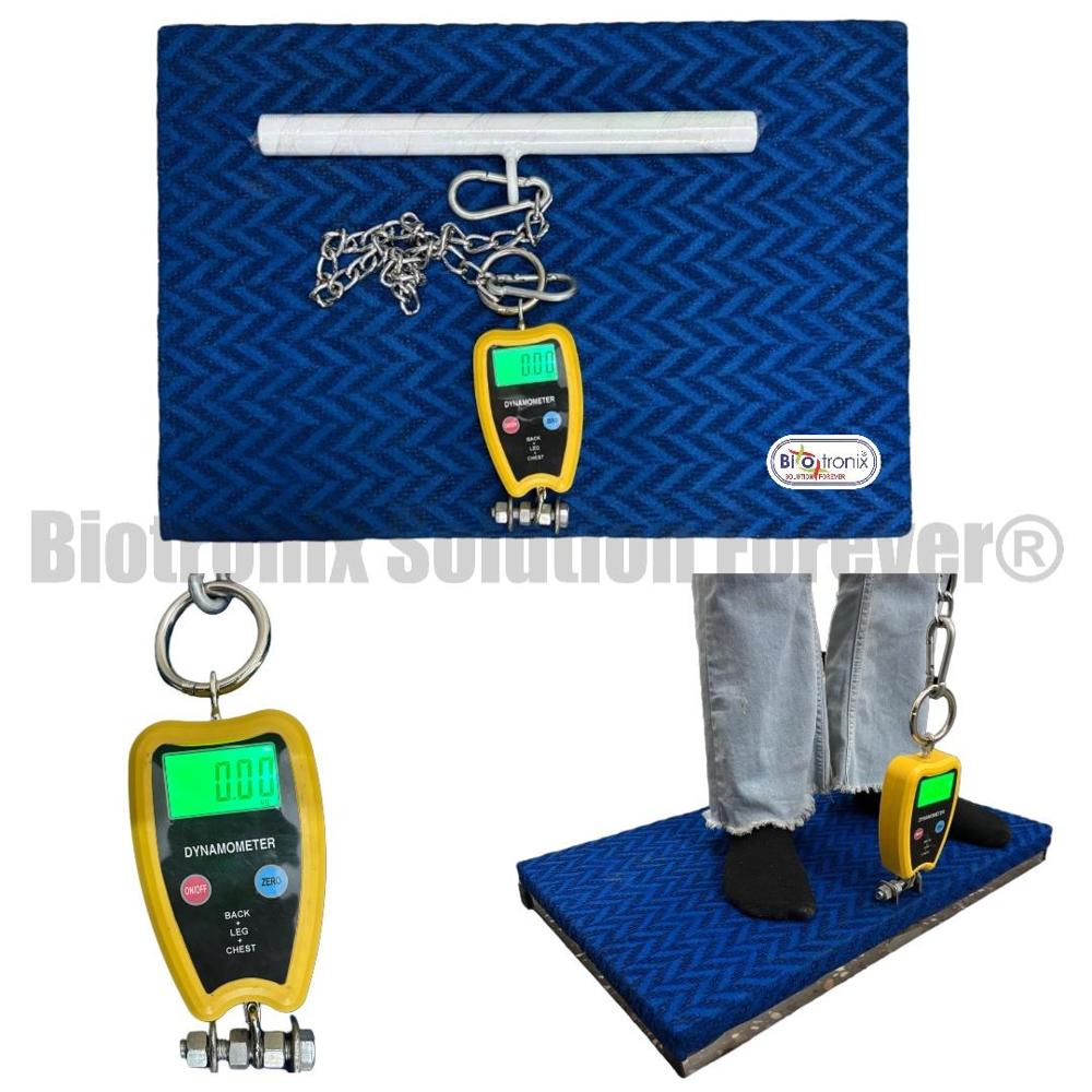 Digital Back Leg Chest Strength Tester for Clinical Muscle Assessment