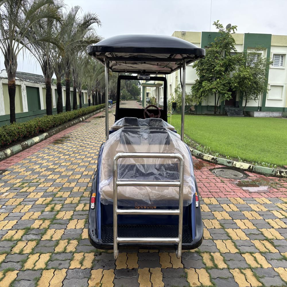 Beetle 6 Seater Vintage Buggy