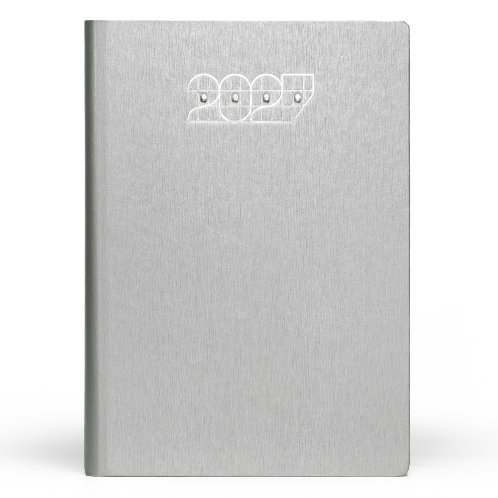 Millennium Diary