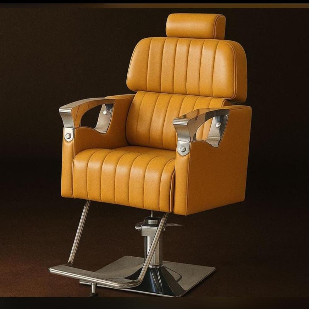 Salon Chair