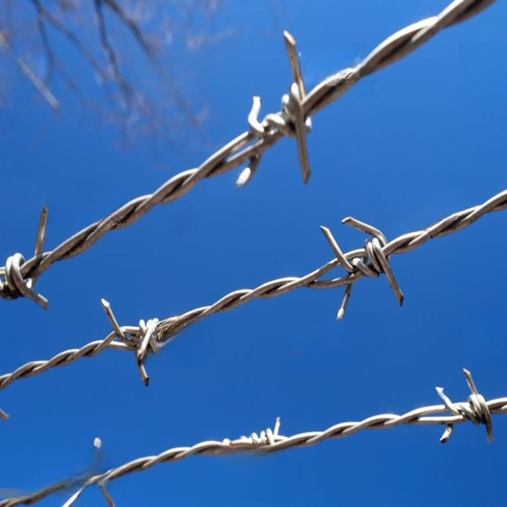 Barbed Wire