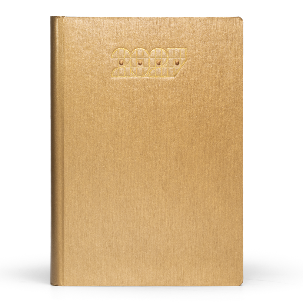 Millennium Diary