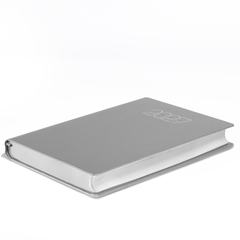 Millennium Diary