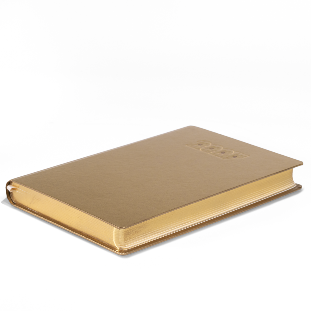 Millennium Diary