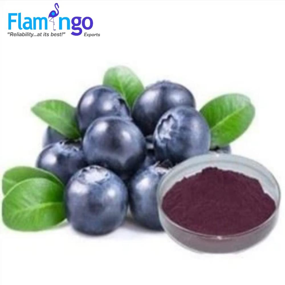 Bilberry Extract