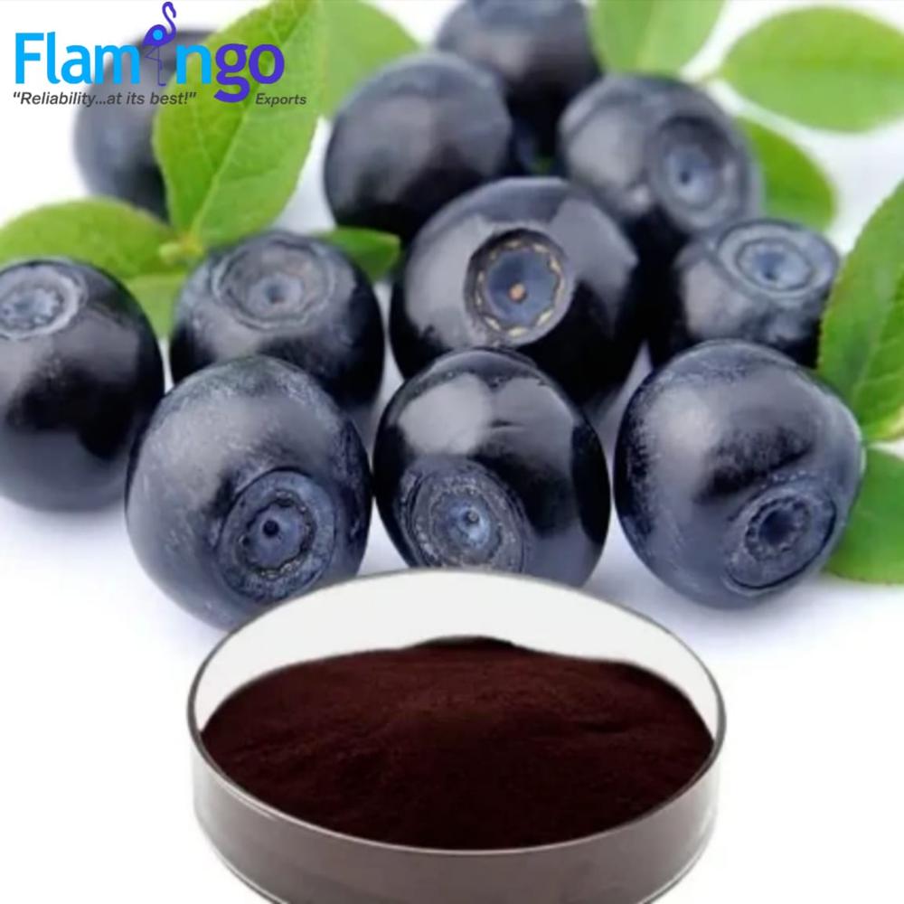 Bilberry Extract