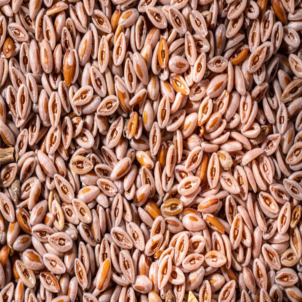 Psyllium Seed - Ash %: 1 %