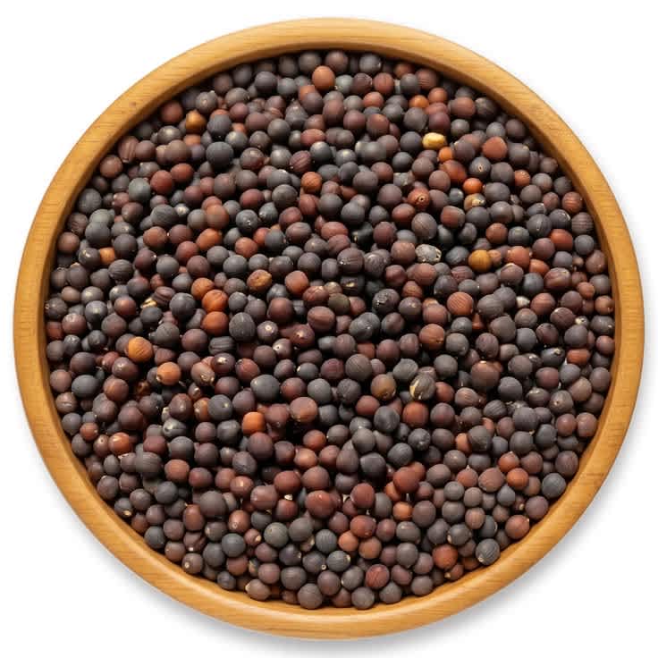 Mustard Seed - Color: Black/yellow