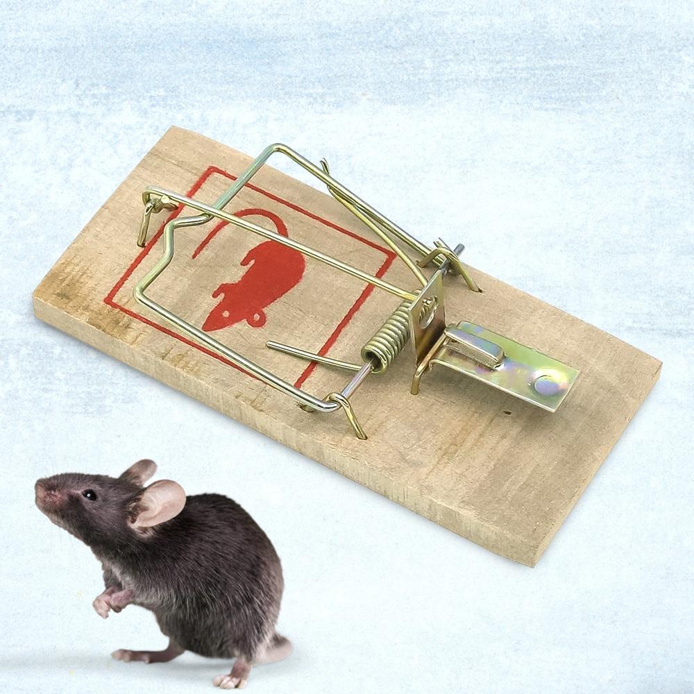 Wooden Mouse Rat Traps (1 Pc) - Application: As Per Product Requirement