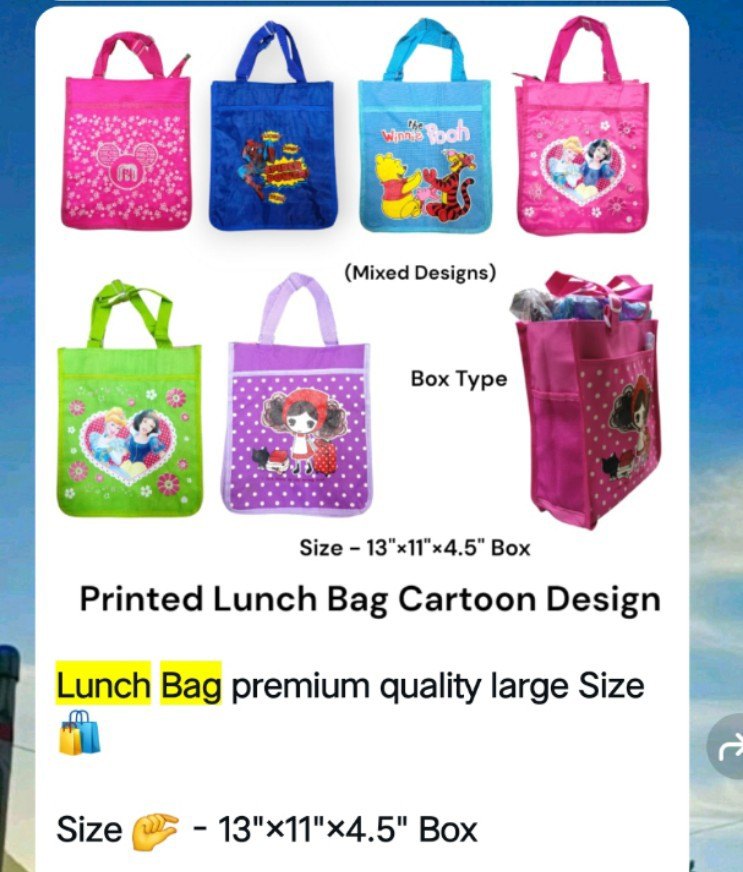 Insulated Bag Large size