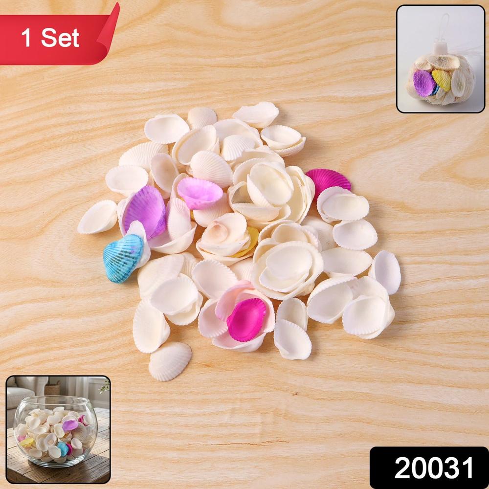 Decorative Seashells Set (1 Set) - Application: As Per Product Requirement